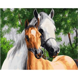 Картина по номерам GX 36952 Два коня (Самарская Елена) 40*50