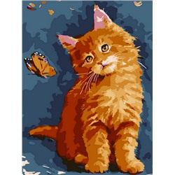 Рыжий котенок с бабочкой
