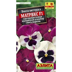 Виола Матрикс F1 малиновый пломбир, смесь крупноцветковая 7шт (а) PanAmerican Seed