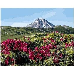 Картина по номерам GX 40029 Прекрасное поле в горах 40*50