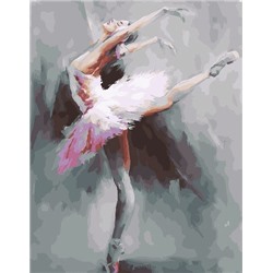 Картина по номерам PK 19022 (GX 26931) Восхитительный балет 40*50 Эксклюзив