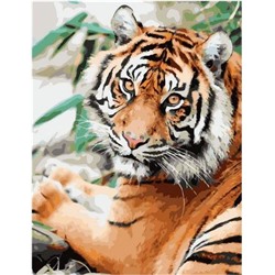 Картина по номерам GX 38945 Могучий тигр 40*50