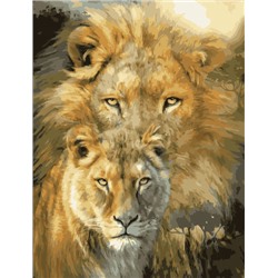Картина по номерам GX 34488 Лев и львица 40*50