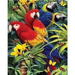 Яркие попугаи
