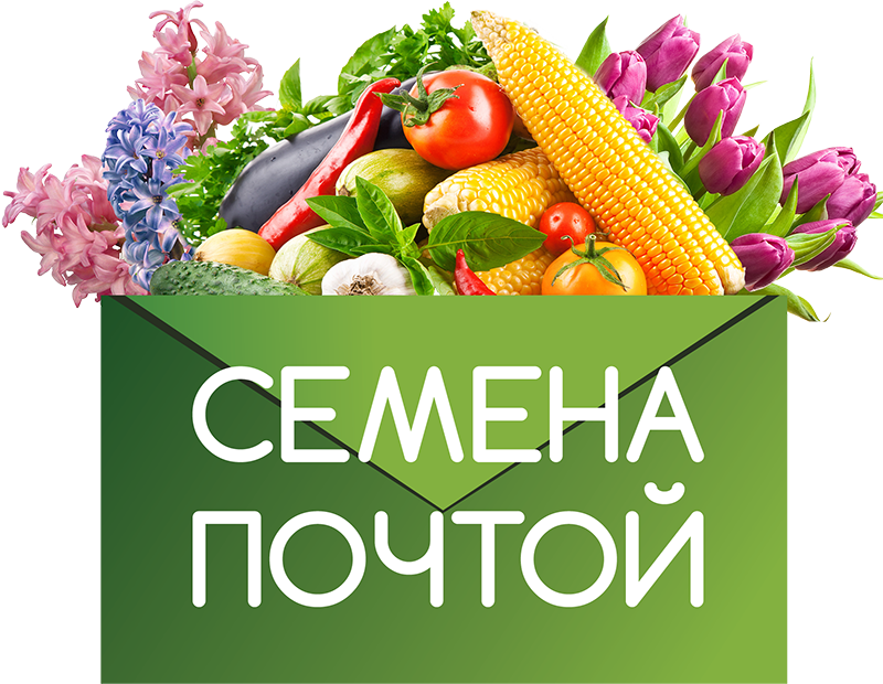 Семена Овощей Магазин