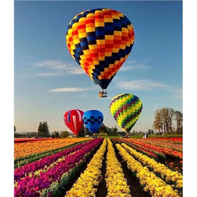 Воздушные шары над тюльпановым полем