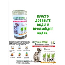 Набор для выращивания зелёной травы для кошек и собак