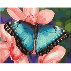 Картина по номерам GX 40329 Голубая бабочка 40*50