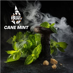 Табак для кальяна Black Burn 25г — Cane Mint (Тростниковая мята)