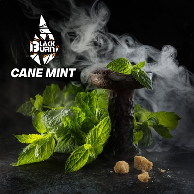 Табак для кальяна Black Burn 25г — Cane Mint (Тростниковая мята)
