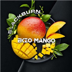Табак для кальяна Black Burn 25г — Ekzo Mango (Манго)