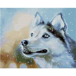 Алмазная мозаика APK 59006 Снежный/Собака (Логинова Аннет) 40*50 Эксклюзив