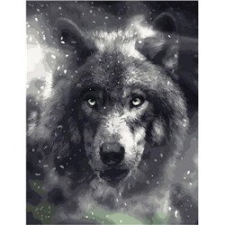 Картина по номерам GX 40297 Благородный волк 40*50