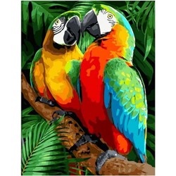 Картина по номерам GX 40056 Яркие попугаи Ара 40*50