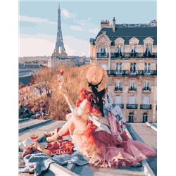 Картина по номерам GX 25419 Красоты Парижа 40*50