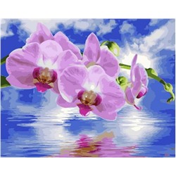 Картина по номерам GX 40035 Розовые орхидеи 40*50