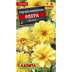 Георгина Опера желтая (а)