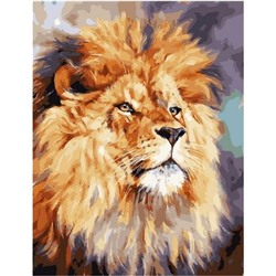 Картина по номерам GX 30769 Лев - царь зверей 40*50