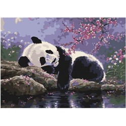 Картина по номерам EX 6535 Отдых панды в саду под сакурой 30*40