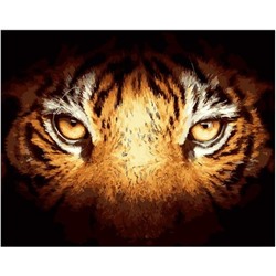 Картина по номерам GX 39987 Взгляд тигра 40*50