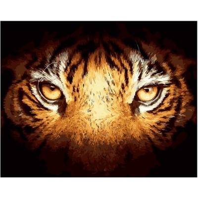 Картина по номерам GX 39987 Взгляд тигра 40*50
