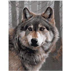 Картина по номерам GX 35785 Одинокий волк 40*50