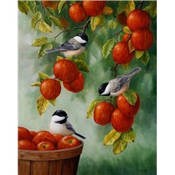 Птички и яблоки