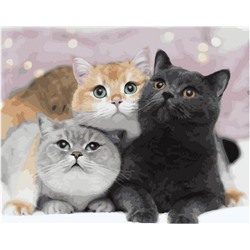 Картина по номерам GX 39951 Три счастливых кота 40*50