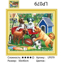 5DLP079 "Собаки и мячи", 40х50 см
