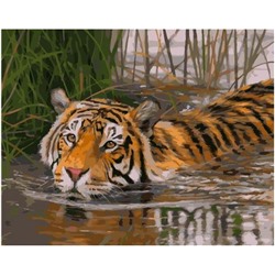 Картина по номерам GX 40003 Плывущий тигр 40*50
