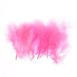 Набор перьев для декора 10 шт, размер 1 шт 10*2 цвет светло-розовый