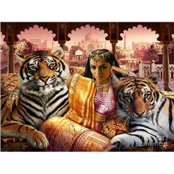 Индийские тигры