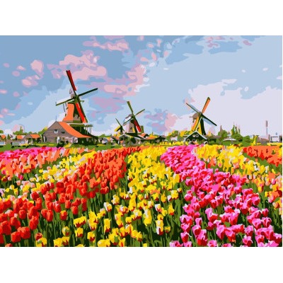 Картина по номерам EX 6367 Разноцветное поле тюльпанов 30*40