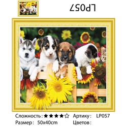 5DLP057 "Четыре щенка", 40х50 см